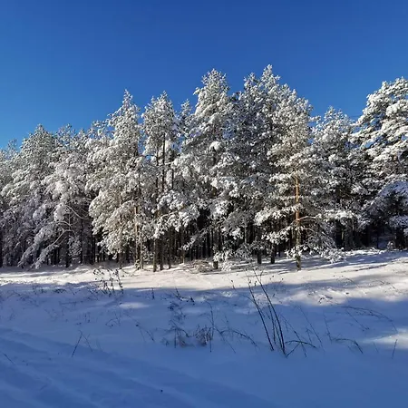 Zeleni Vrhovi Divčibare