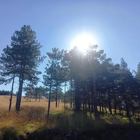 Zeleni Vrhovi 아파트