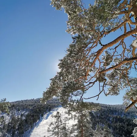 Zeleni Vrhovi Divčibare