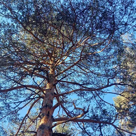 Zeleni Vrhovi 아파트