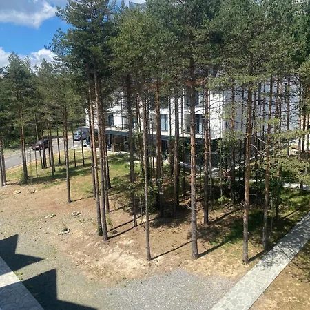 Zeleni Vrhovi Divčibare